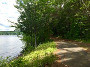 Hiking trails galore - right along the lake. 