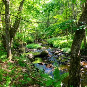 The brook the campground is named for. 