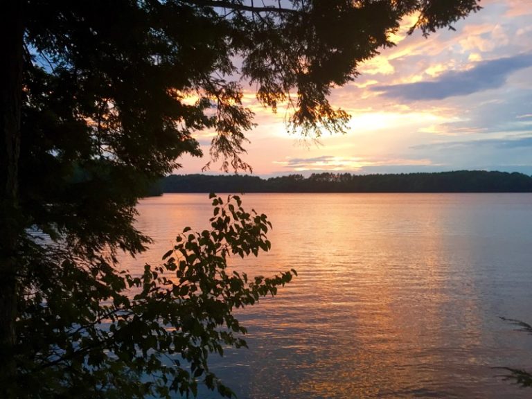Hanging out with Loons along China Lake, Maine Technomadia