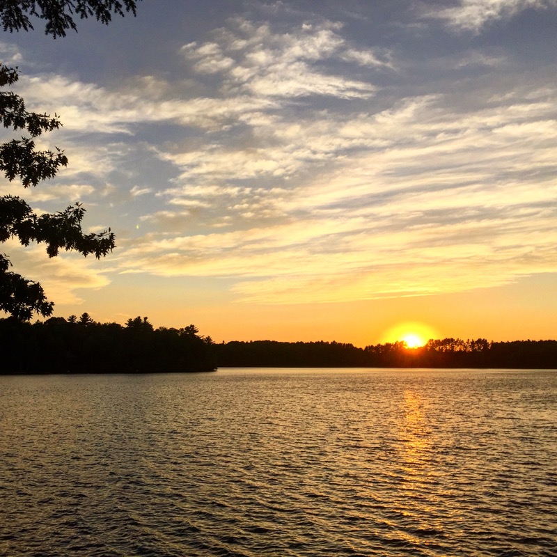 Hanging out with Loons along China Lake, Maine Technomadia
