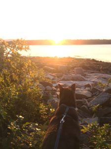 The trails in the park are pet friendly.. Kiki appreciated this!