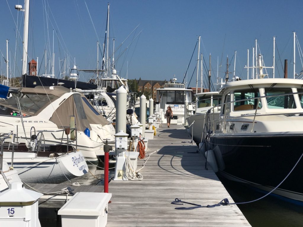 Every time we walk down a dock some new boat catches our eye.