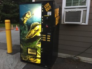 The campground even offers a live bait vending machine... hmmm?
