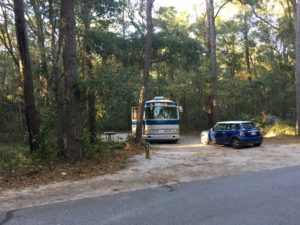 Nice wooded spots at Carolina Beach SP. 