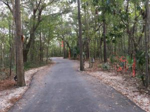 Many biking/hiking trails.