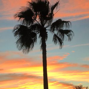 If we aim the camera above the RVs & mobile homes - we can pretend we're somewhere scenic. 