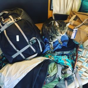 Uh-oh - Kiki is on to us! Her people are going on vacation!