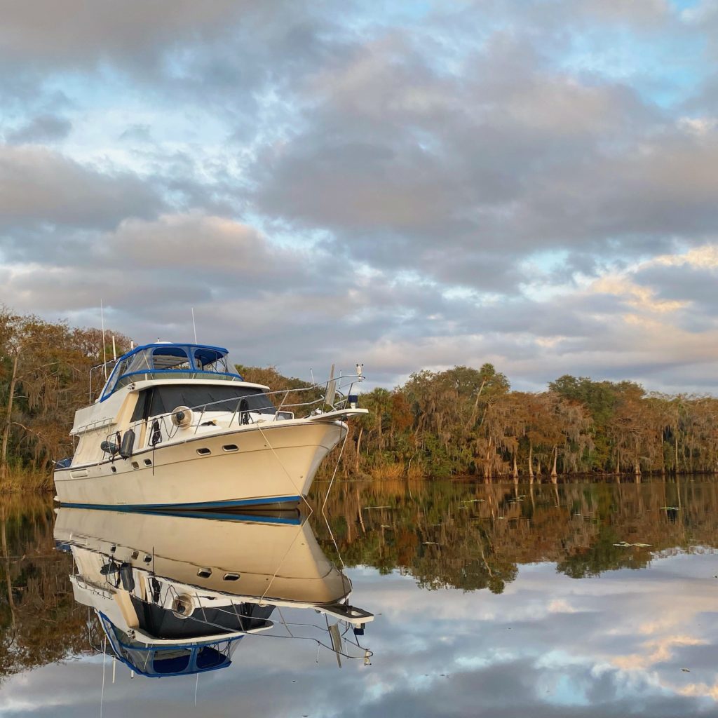 ynot butchers bend Technomadia