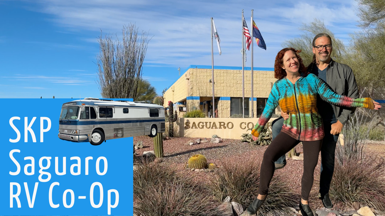 Saguaro National Park and New Friends - Tiny Shiny Home